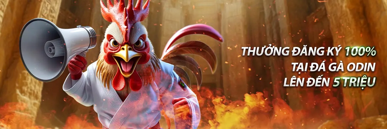 Chương Trình Đối Tác BG88 App